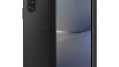 Sony Xperia 10 V