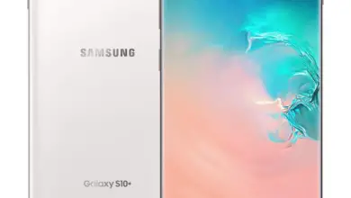 Samsung Galaxy S10+