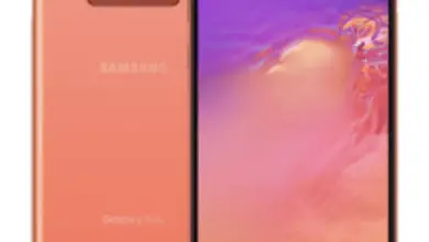 Samsung Galaxy S10e