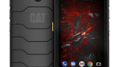 Cat S42