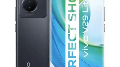 vivo V29 Lite